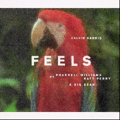 Feels ft. Pharrell Williams, K