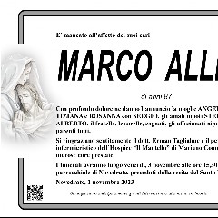 Marco Allevi