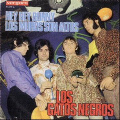 Los Gatos Negros