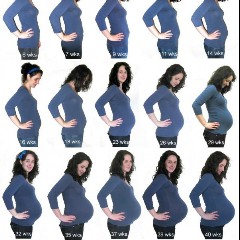 Baby Bumps