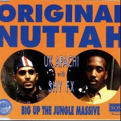 UK Apache & Shy FX