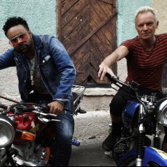 Sting & Shaggy