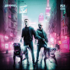 Dub Elements & MIDNIGHT CVLT