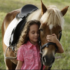 Le Cheval