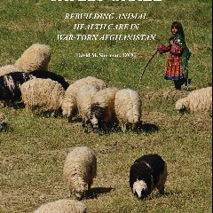 Sheep May Safely Graze