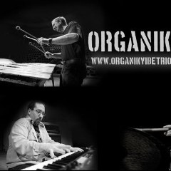 Organik Vibe Trio