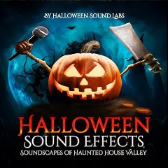 Halloween Sound Labs