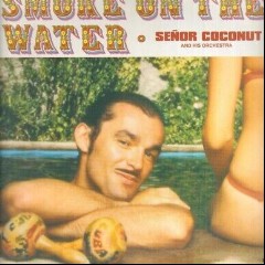 Señor Coconut and His Orchestra