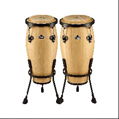 Conga