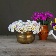 PR Showopener Louisa Klemke