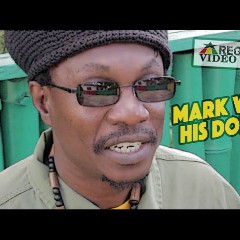 Mark Wonder