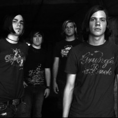 The Red Jumpsuit Apparatus