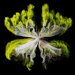 REBUKE, KONSTANTIN SIBOLD, ZAC & CARMEE