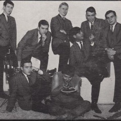The Magnificent 7
