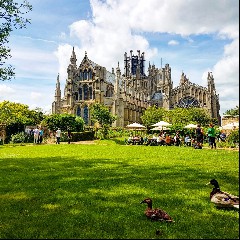 Ely!