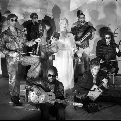 The Heliocentrics