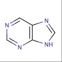 Purine