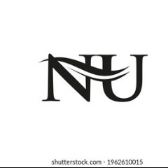 Nu Image
