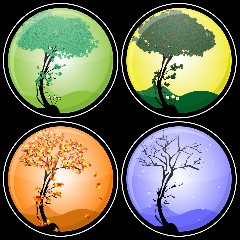 The Four Seasons