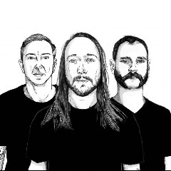 Woodhawk