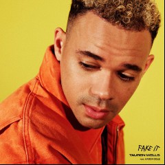 Tauren Wells feat. Aaron Cole