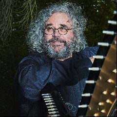 vollenweider