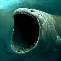 The Bloop