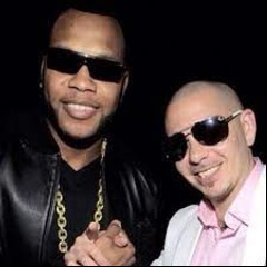 Flo Rida feat. Pitbull