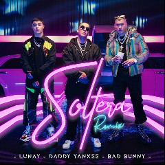 Soltera Remix