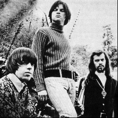 The Seeds
