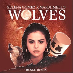Selena Gomez × Marshmello