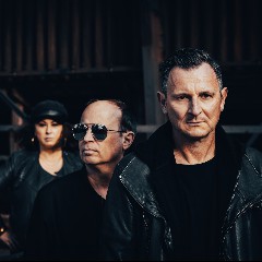 Resistance D