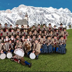 Trachtenmusikkapelle Dienten am Hochkönig