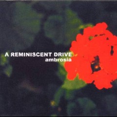 A Reminiscent Drive