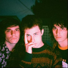 Wallows