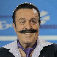 Токарев, Вилли