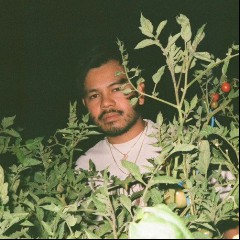 DJ Houseplants