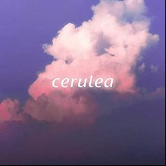 Cerulea