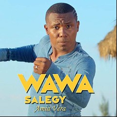 Wawa Salegy