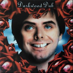 Darkwood Dub