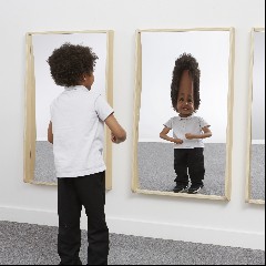 Distortion Mirrors