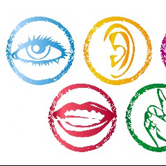 senses