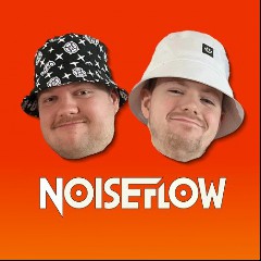 Noise Flow