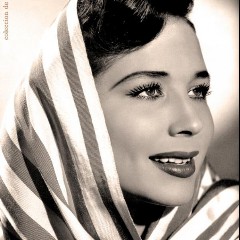 Flor Silvestre