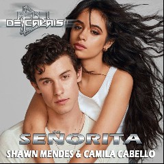 Senorita by Shawn Mendes