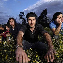 The Cat Empire