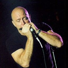 Kim Wilson