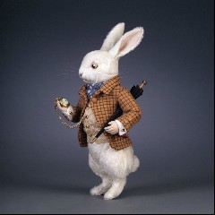 White Rabbit