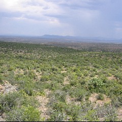 Karroo
