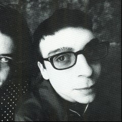 The Spinanes
